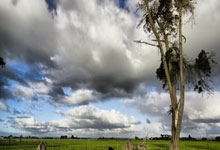 经验积累的重要性，成功之路终见曙光