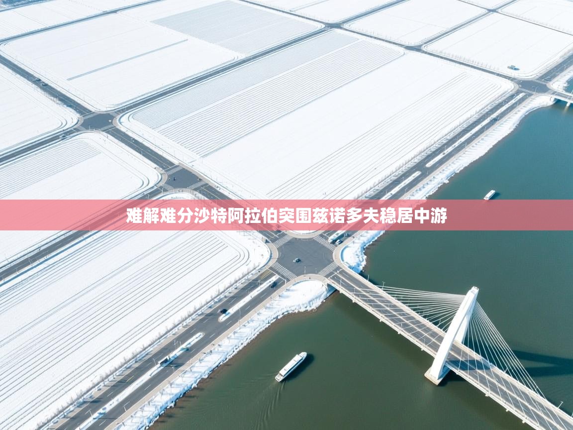 难解难分沙特阿拉伯突围兹诺多夫稳居中游  第2张