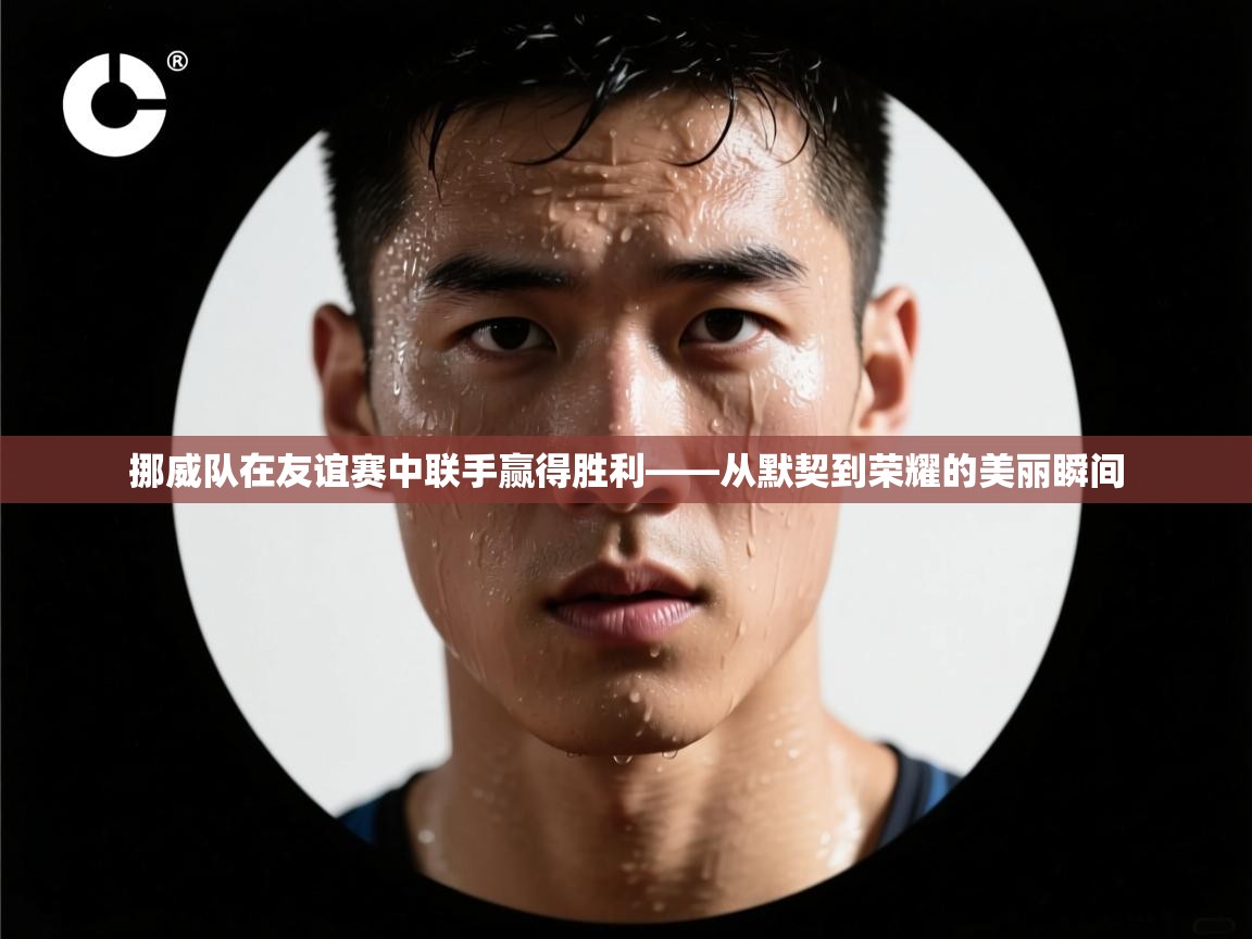 挪威队在友谊赛中联手赢得胜利——从默契到荣耀的美丽瞬间